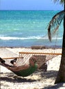 Man relaxing in a hammock-Stock photos Royalty Free Stock Photo