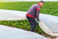 A man removes agrofibre from potato plants. Greenhouse effect for protection. Agroindustry, farming. Growing crops in a colder Royalty Free Stock Photo