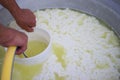 Man removes the whey with a plastic hose to make ricotta cheese