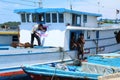 Man renewing a sign on boat