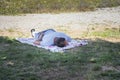 A man resting on the grass on a sunny summer day. A man is sleeping on the grass,male lying in the grass and relaxing on a sunny