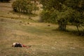 Man resting in the mountains of Palencia. Royalty Free Stock Photo