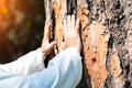 Man rests while practicing tai chi chuan and receive energy from