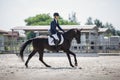 Man rider and black stallion horse galloping during equestrian dressage competition Royalty Free Stock Photo