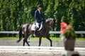 Man rider and black stallion horse trotting fast during equestrian dressage competition Royalty Free Stock Photo