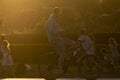 Man rides a bicycle while looking at his mobile phone, Spain