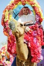 Man rides decorated camel