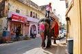 A man rides his elephant in Jaipur, India. Royalty Free Stock Photo