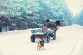 A man rides a horse-drawn carriage along a snowy road in winter Royalty Free Stock Photo