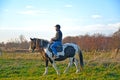 A man rides a horse with a pegged suit on autumn pasture