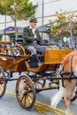 Man rides in an old carriage