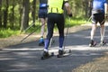 A man rides a ski roller on an asphalt road in the Park in the summer Royalty Free Stock Photo