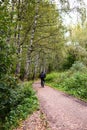 Bicyclist in the park. Outdoor, sport. Vertical image Royalty Free Stock Photo