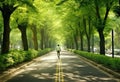 man riding a bicycle in a park alley outdoor at summer day. Active people. Lifestyle Concept