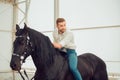 Man in a shirt riding on a brown horse Royalty Free Stock Photo