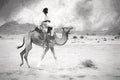 Man riding camel Royalty Free Stock Photo