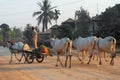 A man riding cart.