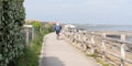 Man riding cycle on bike paths of ile de Re at the edge of the Atlantic Ocean france in web banner template web