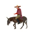 Man riding donkey Royalty Free Stock Photo