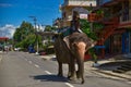 A man riding an elephant on Street in Chitwan Royalty Free Stock Photo