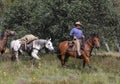 Man riding horse Royalty Free Stock Photo