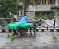 Man riding a horse cart is saving himself and his goods from getting wet by the rain with a plastic sheet Royalty Free Stock Photo