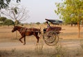 A man riding horse cart on street in Bagan, Myanmar Royalty Free Stock Photo