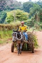 Man riding on a horse drawn cart rural Brazil Royalty Free Stock Photo