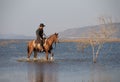 Cowboy on his horse walking through dust in the lake Royalty Free Stock Photo