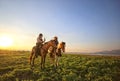 Man riding horse in lake against sunset and mountain Royalty Free Stock Photo