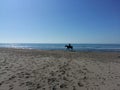 Man riding a horse on the seashore Royalty Free Stock Photo