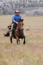 Man riding horse at speed