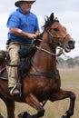 Man riding horse at speed Royalty Free Stock Photo