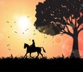 A Man Riding On A Horse Under Sunset, Equestrianism Royalty Free Stock Photo