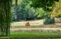 Man riding on a lawnmower tractor in a park Royalty Free Stock Photo