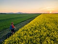 Man riding mountain bike on country road between yellow colza fields, drone side view