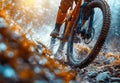 Man riding mountain bike in the forest on stormy winter day Royalty Free Stock Photo