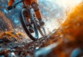 Man riding mountain bike in the forest on sunny day Royalty Free Stock Photo