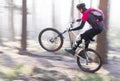 Man riding a mountain bike in a forest on a sunny day with fog Royalty Free Stock Photo