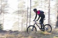 Man riding a mountain bike in a forest on a sunny day Royalty Free Stock Photo