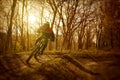 Man riding a mountain bike in the woods Royalty Free Stock Photo