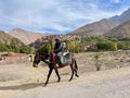 Man riding a mule in front of typical Berber village Aroumd in the High Atlas Mountains, Morocco.