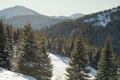 A man riding skis down a snow covered mountain Royalty Free Stock Photo