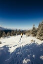 A man riding skis down a snow covered mountain Royalty Free Stock Photo