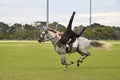 Riding stunt horse