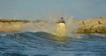 A man riding a water scooter Summer vacation in the tropical sea The hobby of a young man riding the sea Water sport