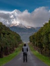 Man on road lokking toward snow capped mountain Royalty Free Stock Photo