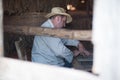 Man rolling cigars at a tobacco drying plant