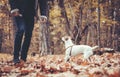 Man romping around with his dog in colorful landscape in fall or autumn