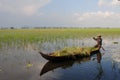 A man rowing boat on the field in Angiang, Vietnam